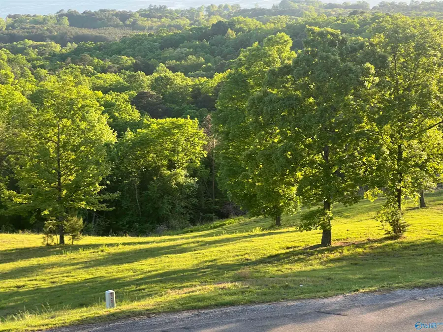 Lot 21 County Road 1015, Cedar Bluff, AL 35959 - #2