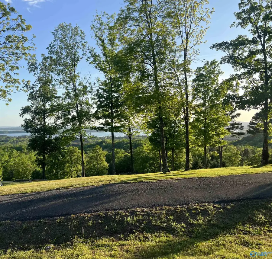 Lot 21 County Road 1015, Cedar Bluff, AL 35959 - #3