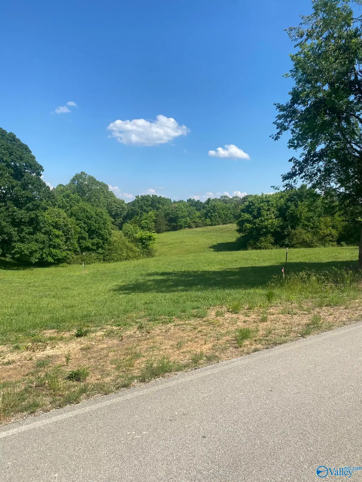 19.27 Acres County Road 656, Anderson, AL 35610 - #1