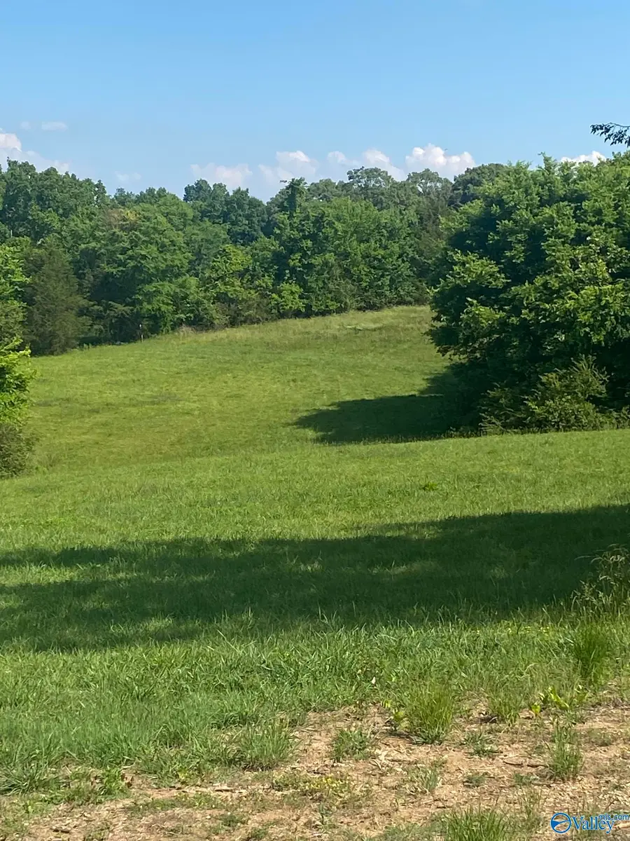 19.27 Acres County Road 656, Anderson, AL 35610 - #3