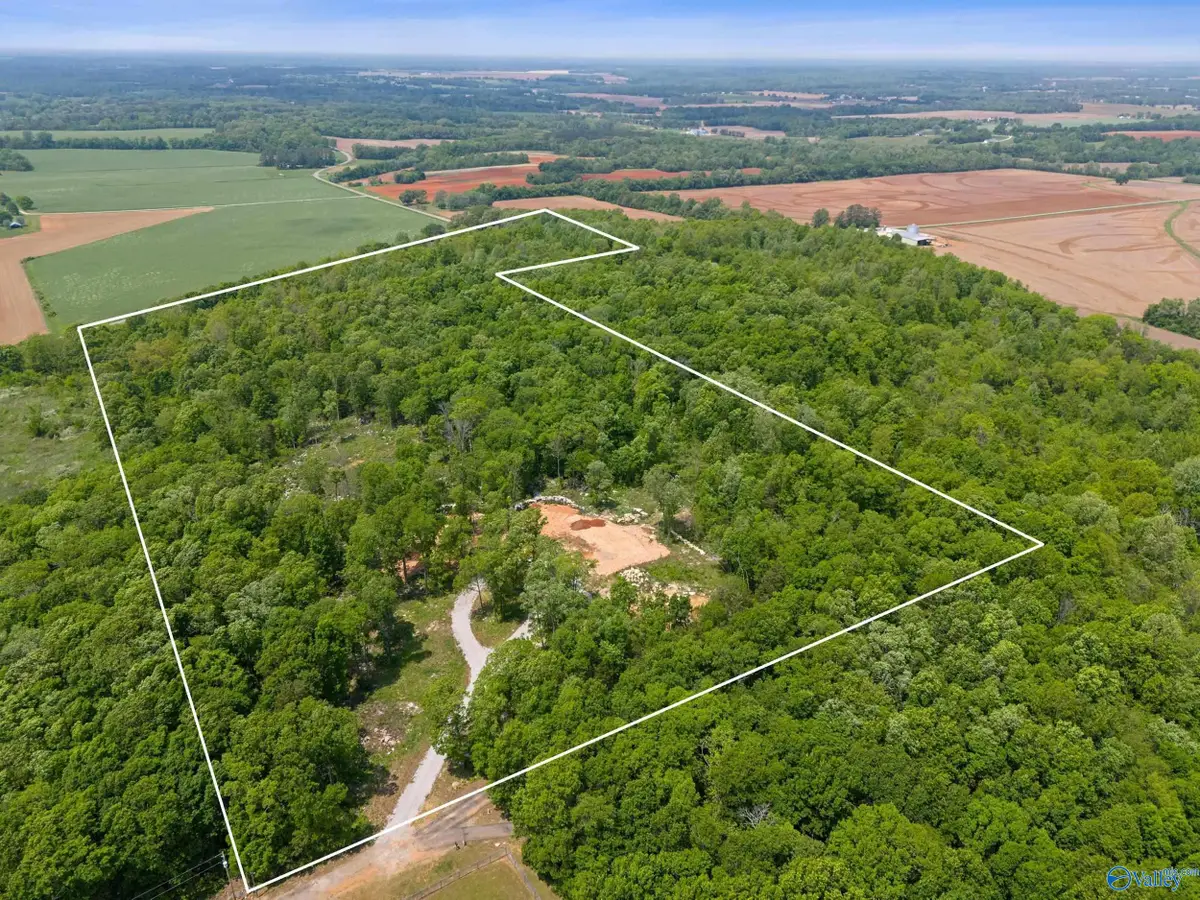 274 Billy Smith Road, New Market, AL 35761 - #1