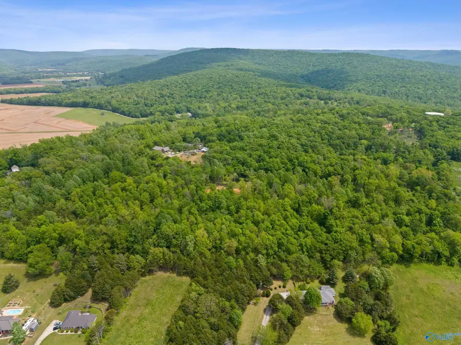 274 Billy Smith Road, New Market, AL 35761 - #2