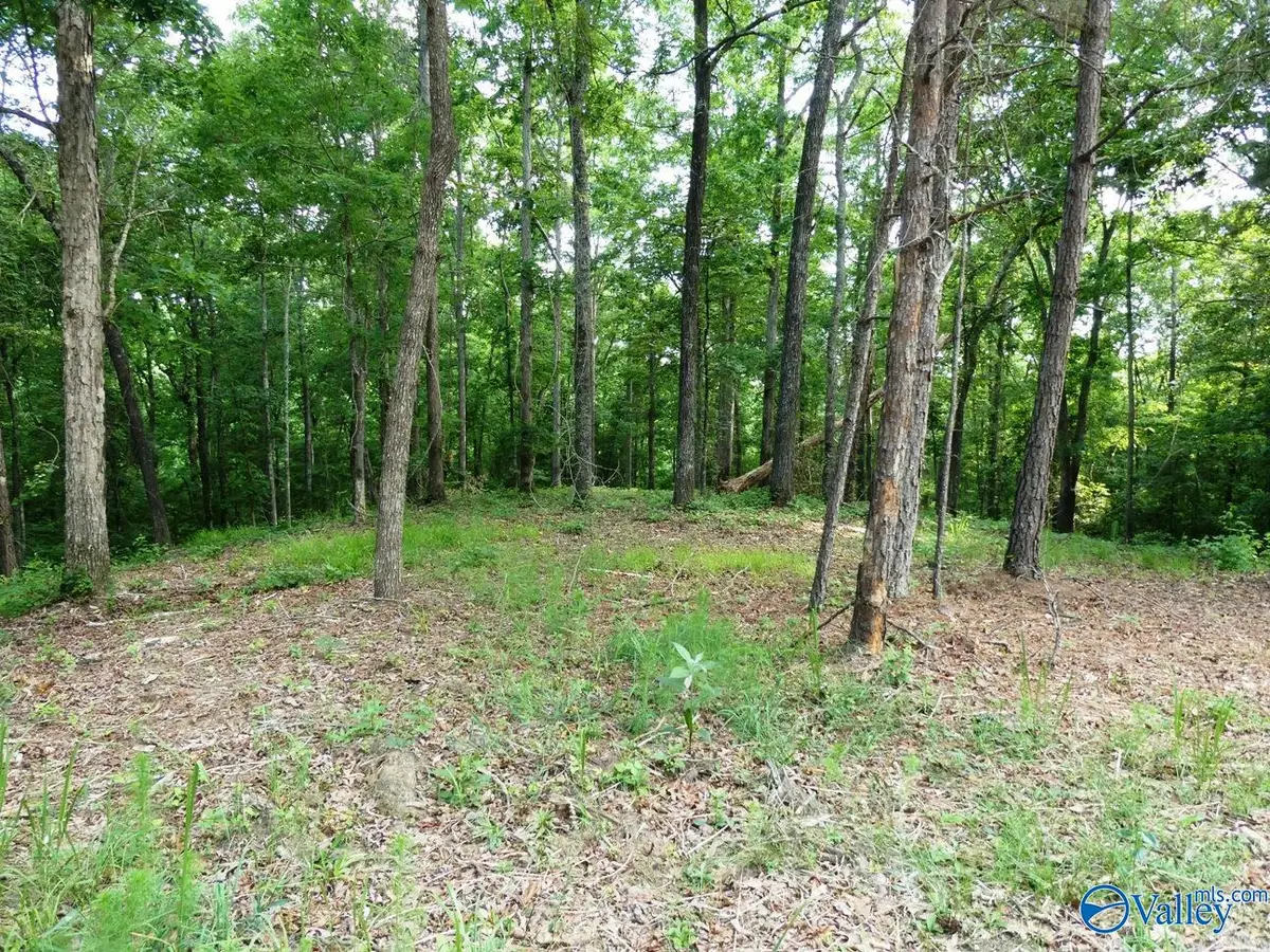 Lot 77 Broken Arrow, Jasper, AL 35504 - #1