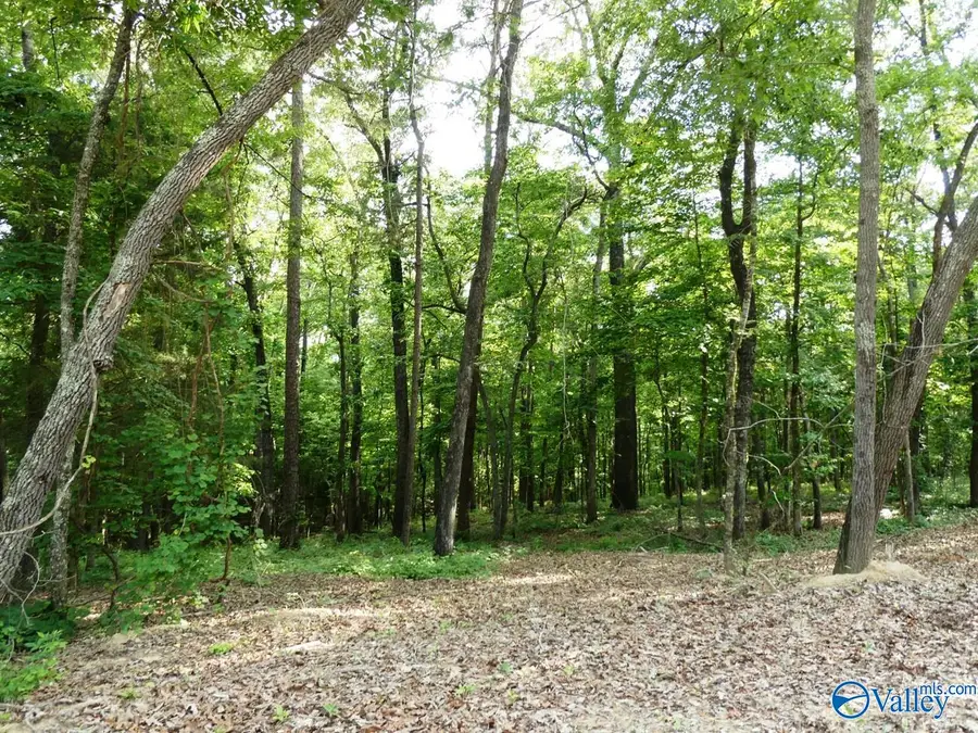 lOT 50 Harbor Loop, Jasper, AL 35504 - #2