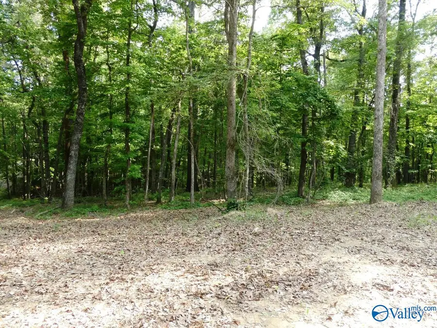 lOT 50 Harbor Loop, Jasper, AL 35504 - #3