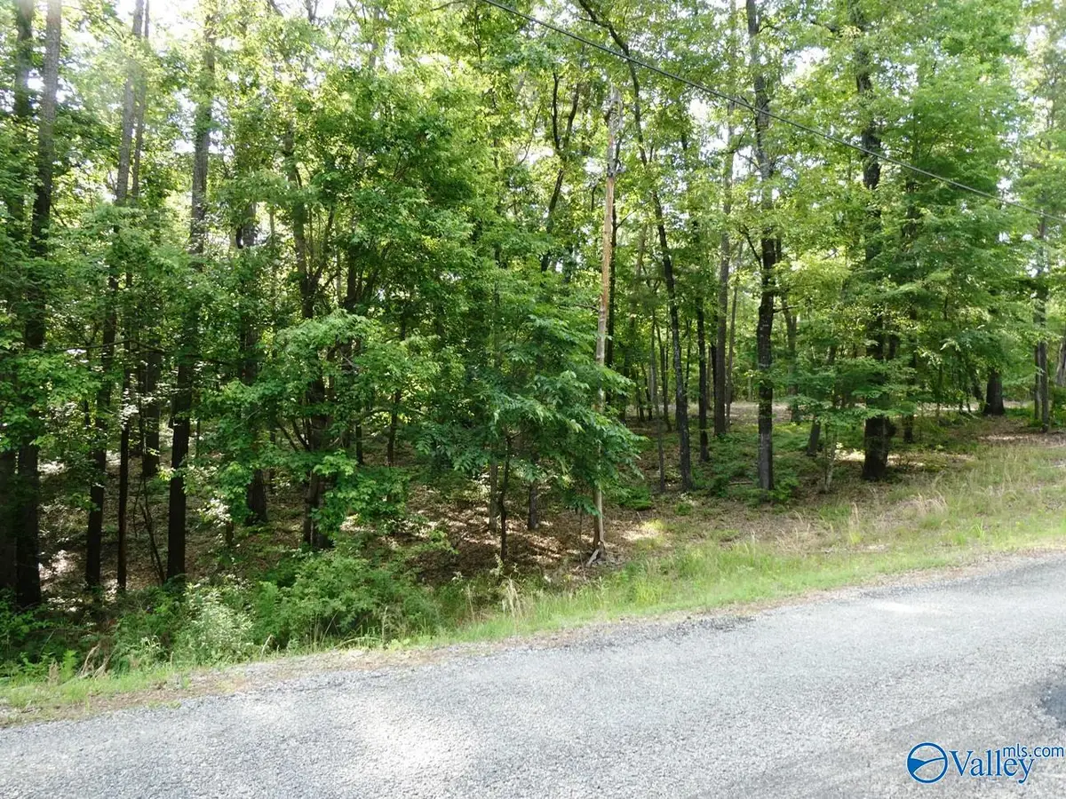 Lot 49 Harbor Loop, Jasper, AL 35504 - #1