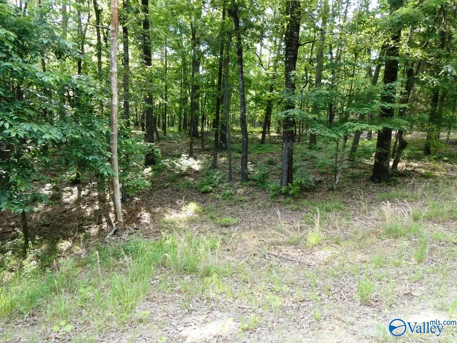 Lot 49 Harbor Loop, Jasper, AL 35504 - #2