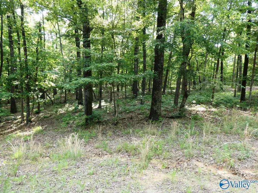 Lot 49 Harbor Loop, Jasper, AL 35504 - #3