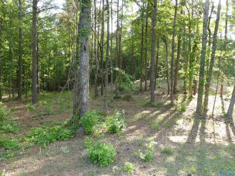 Lot 75 Harbor Lights Trail, Jasper, AL 35504 - #2