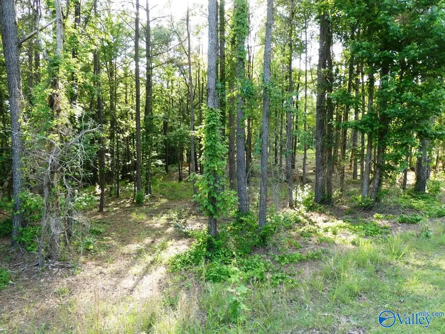 Lot 75 Harbor Lights Trail, Jasper, AL 35504 - #3