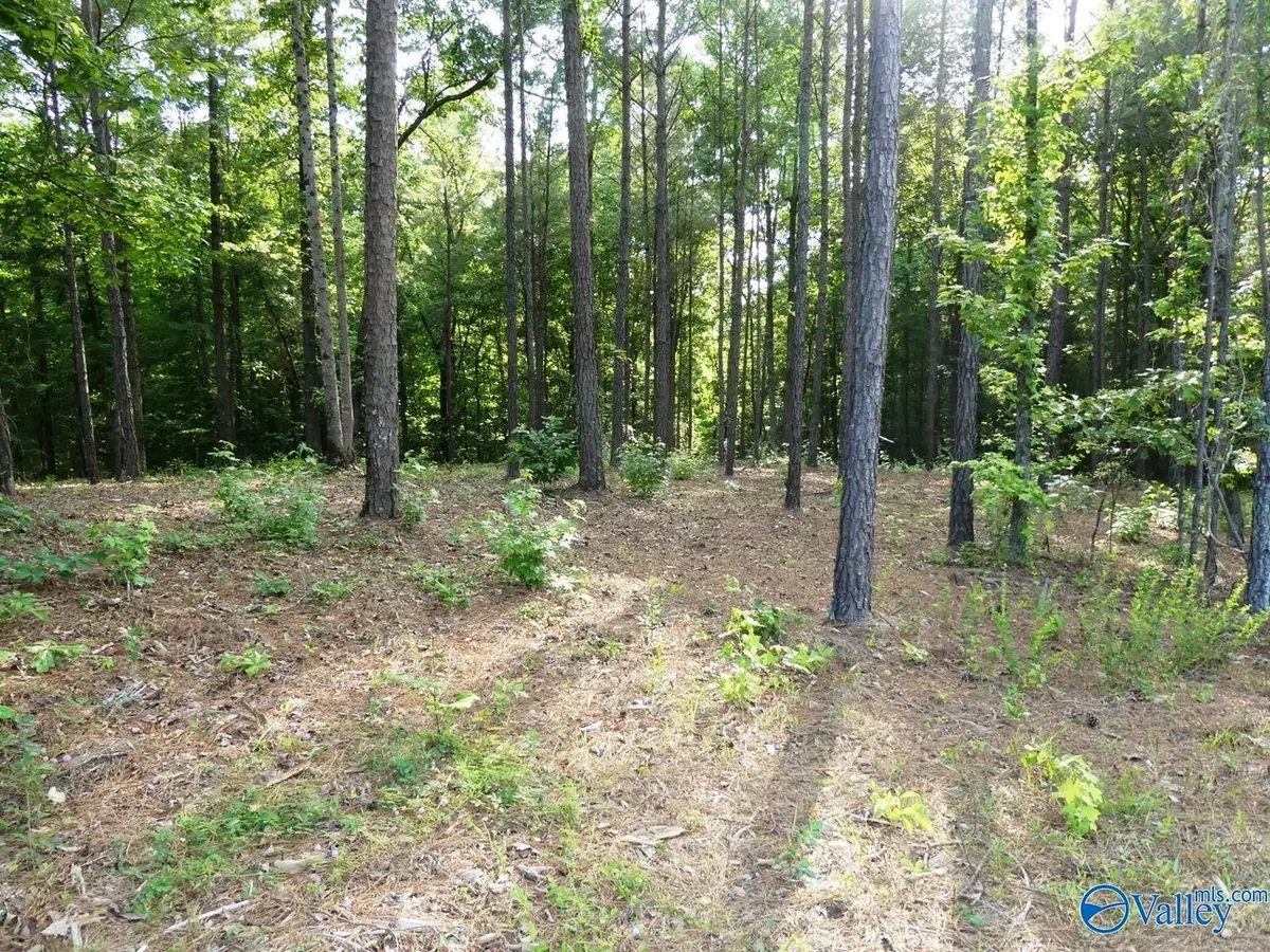 Lot 74 Harbor Lights Trail, Jasper, AL 35504 - #1
