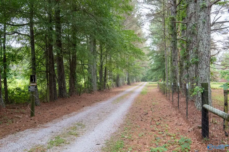 10137 Pulaski Pike, Toney, AL 35773 - #2