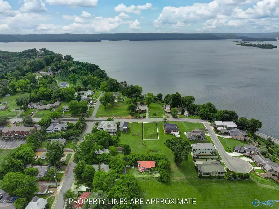 245 Hill Avenue, Guntersville, AL 35976 - #3