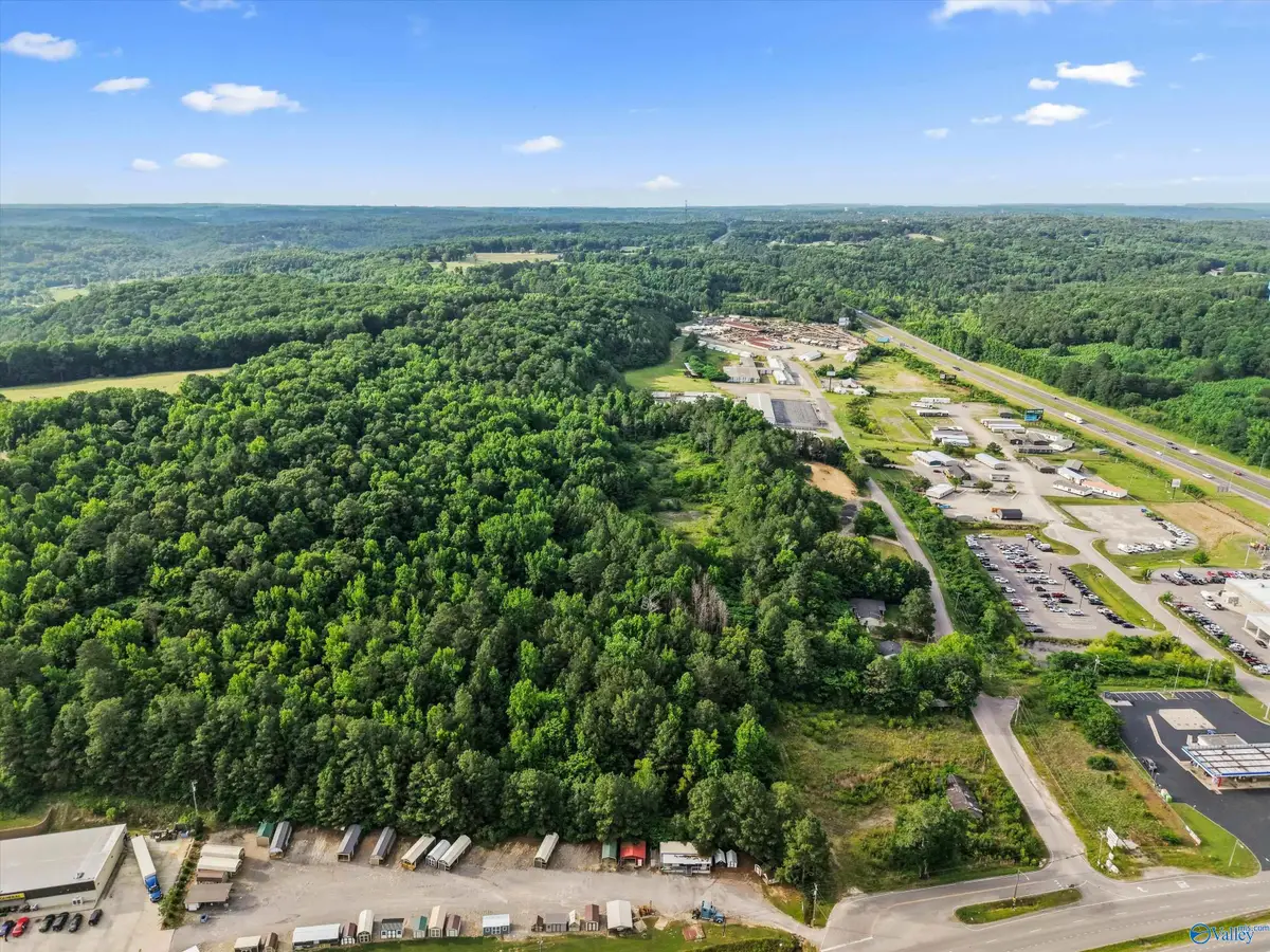7 County Road 1170, Cullman, AL 35057 - #1