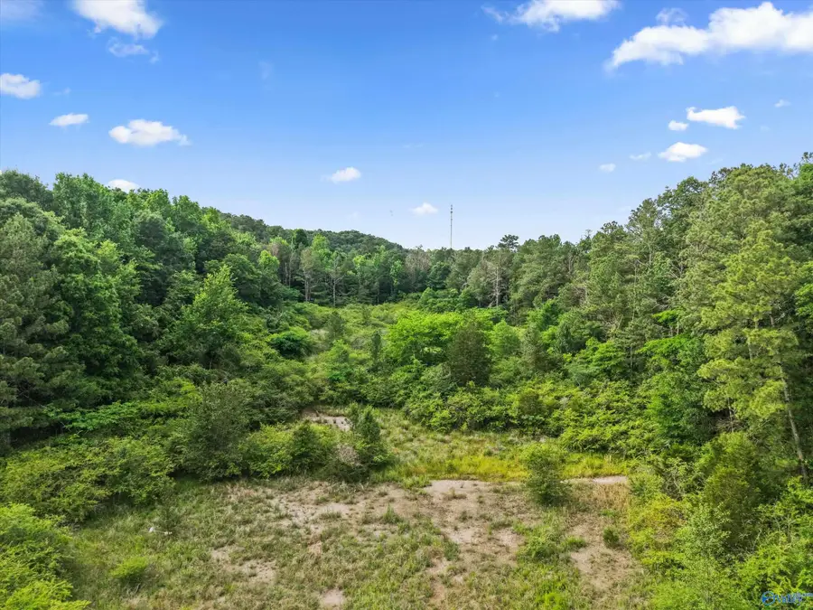 7 County Road 1170, Cullman, AL 35057 - #3