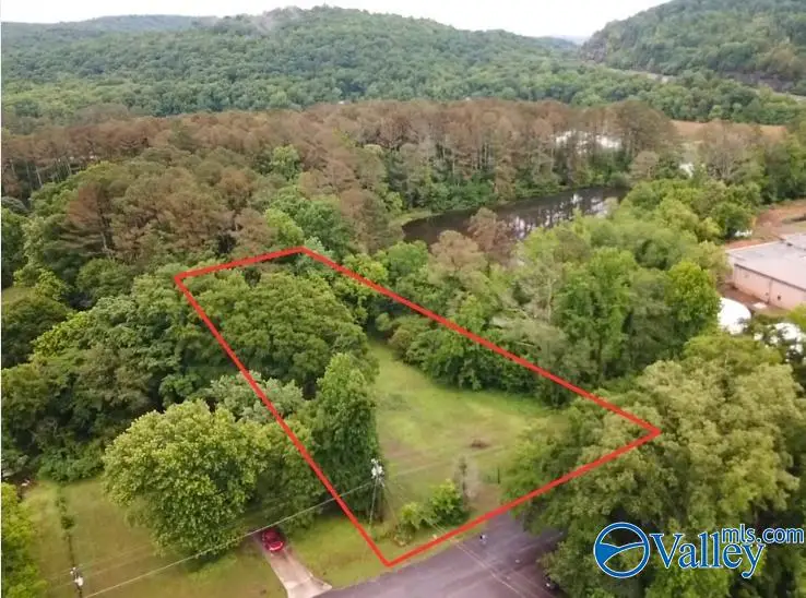 354 Word Mountain Road, Grant, AL 35747 - #1