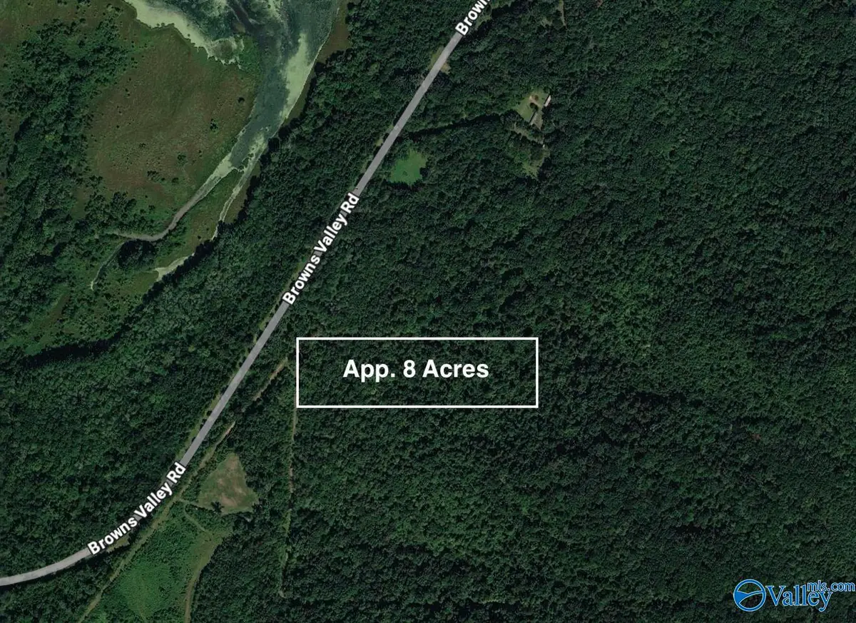 Tract 1 Browns Valley Road, Guntersville, AL 35976 - #1