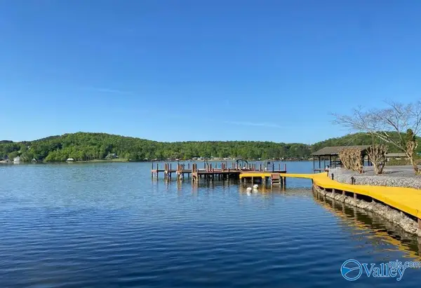 662 lot 19 County Road 662, Cedar Bluff, AL 35959