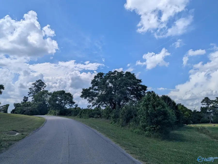 0.74 AC Mount Vernon Road, Boaz, AL 35957 - #2