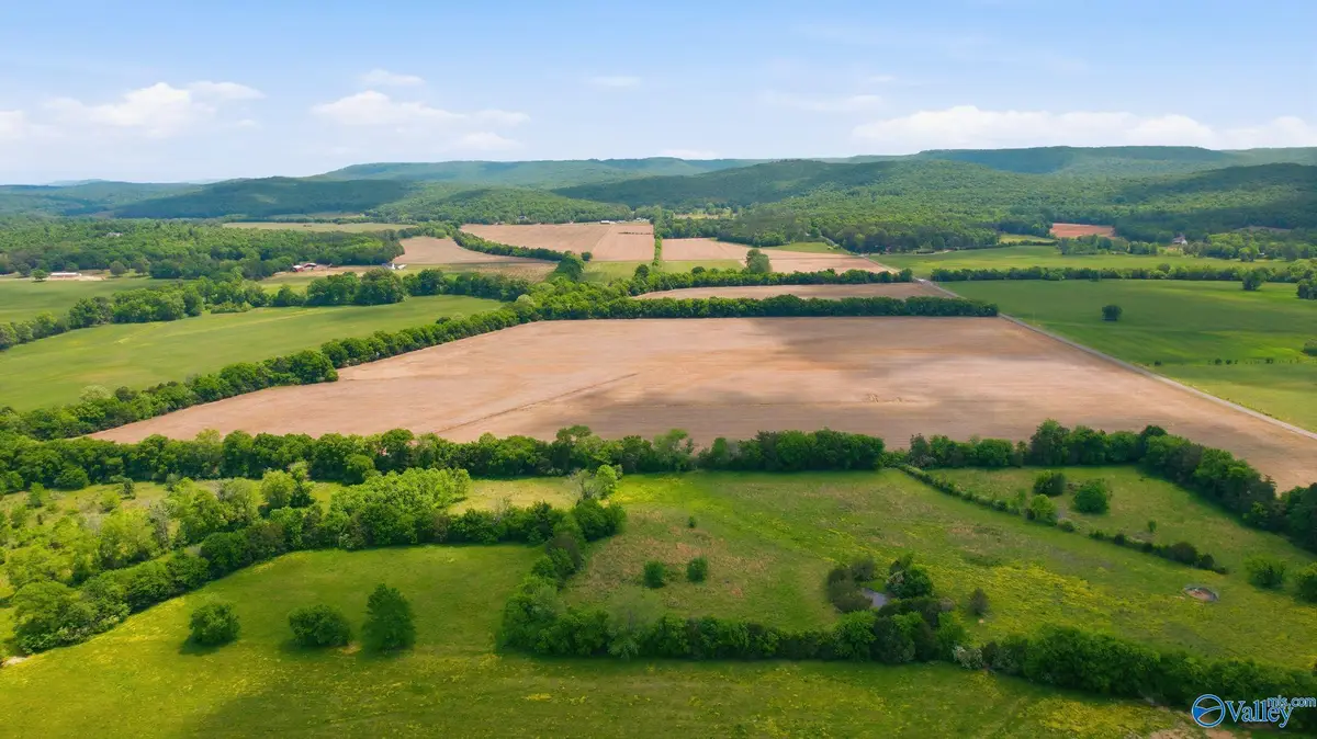 13 Acres Thomas Lane, Grant, AL 35747 - #1