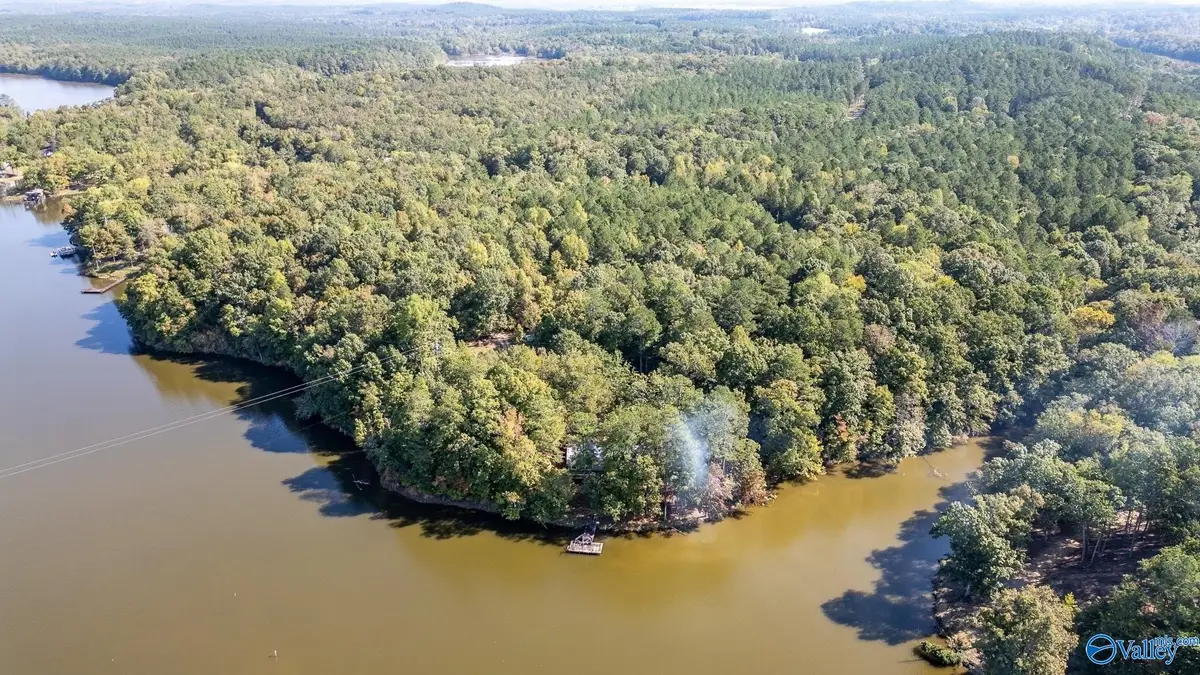 525 County Road 616, Cedar Bluff, AL 35959 - #1