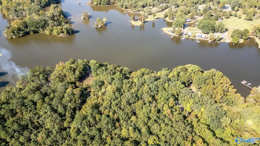 525 County Road 616, Cedar Bluff, AL 35959 - #2