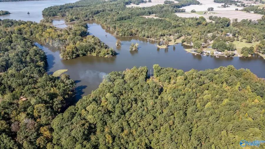 525 County Road 616, Cedar Bluff, AL 35959 - #3