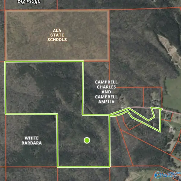 1965 Alabama Highway 11, Collinsville, AL 35961