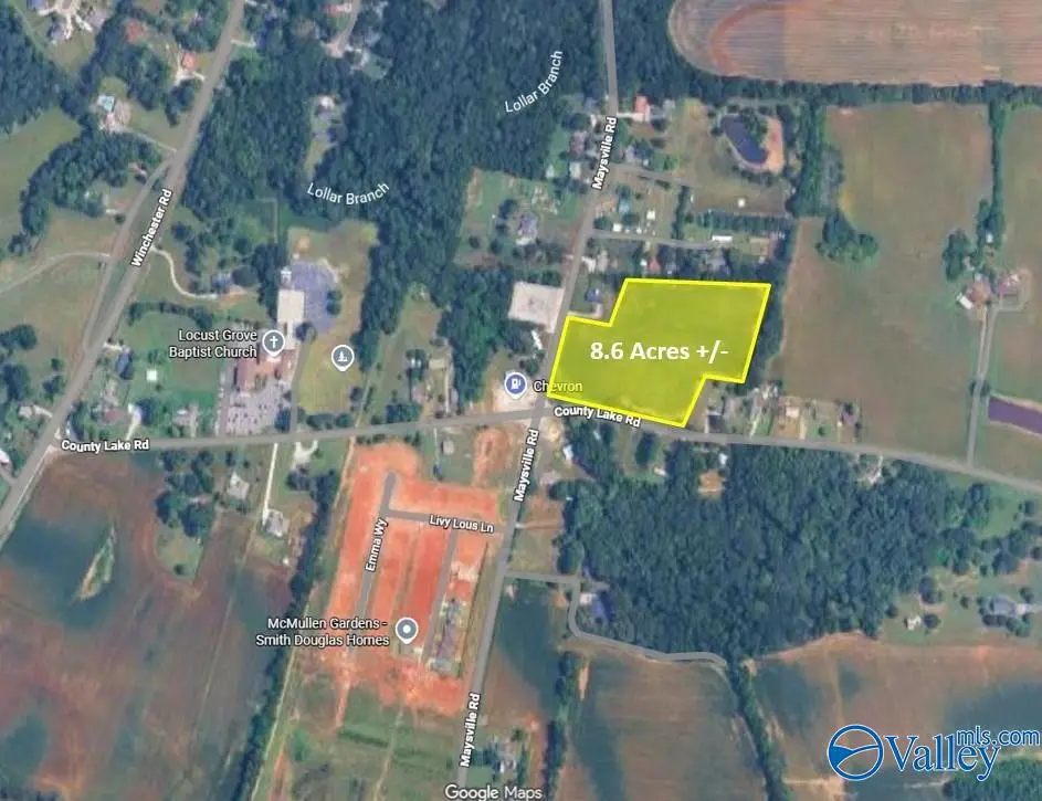 Lot 1 County Lake Road, New Market, AL 35761 - #1