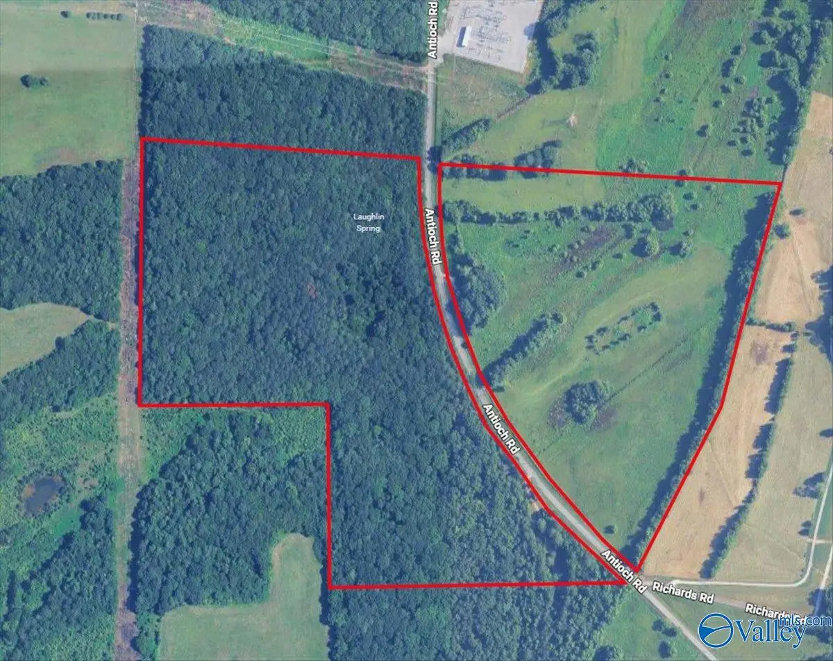 1990 Antioch Road, Somerville, AL 35670 - #1