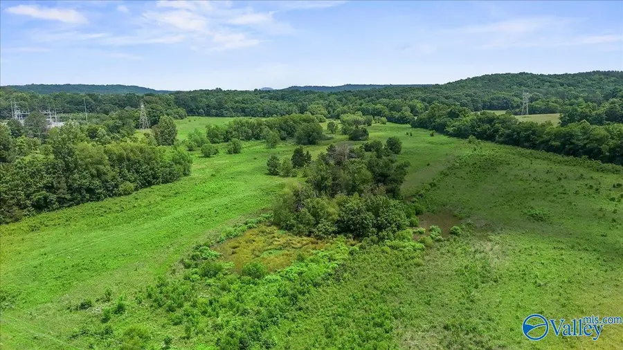 1990 Antioch Road, Somerville, AL 35670 - #2