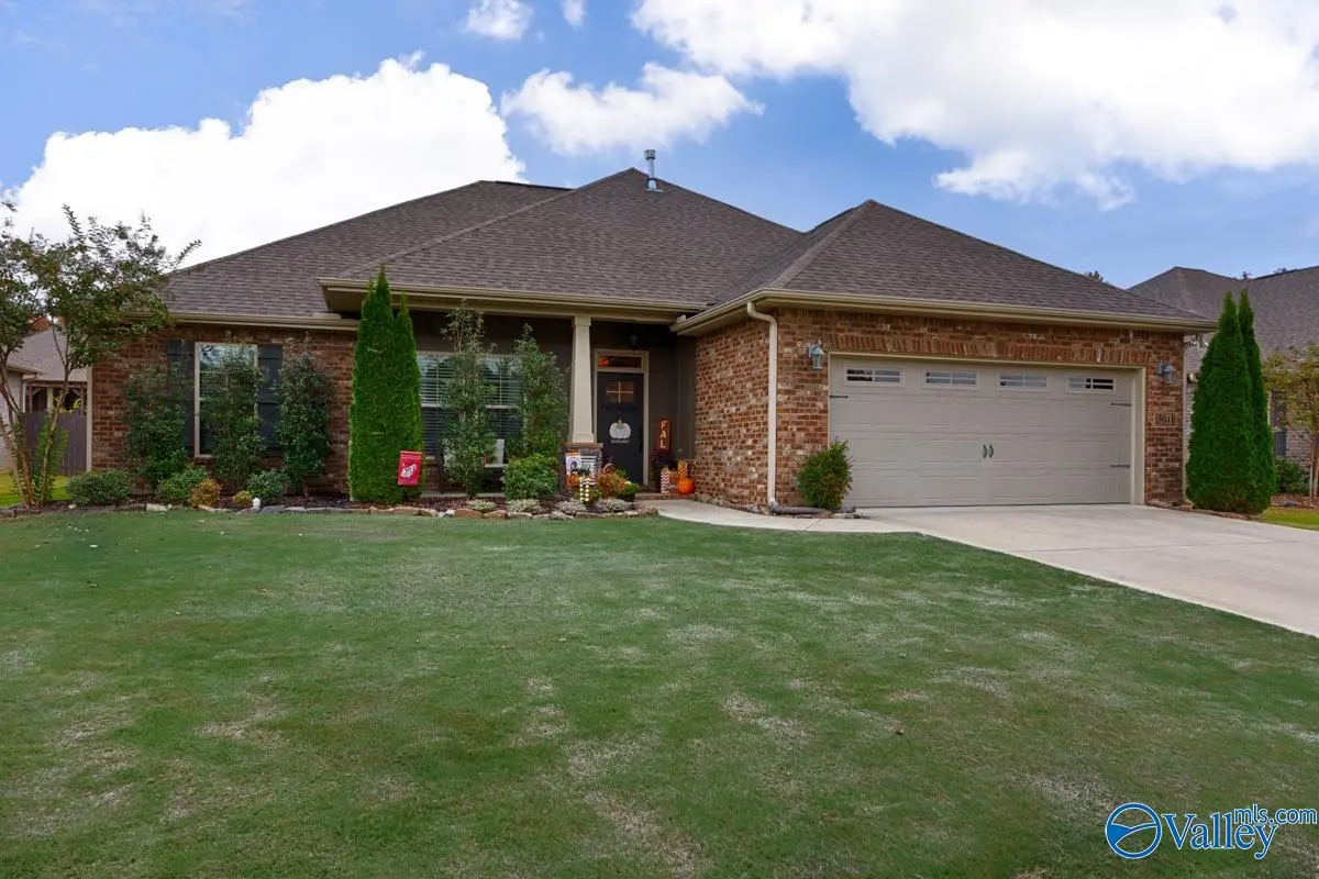 3041 Peevey Creek Lane, Owens Cross Roads, AL 35763 - #1