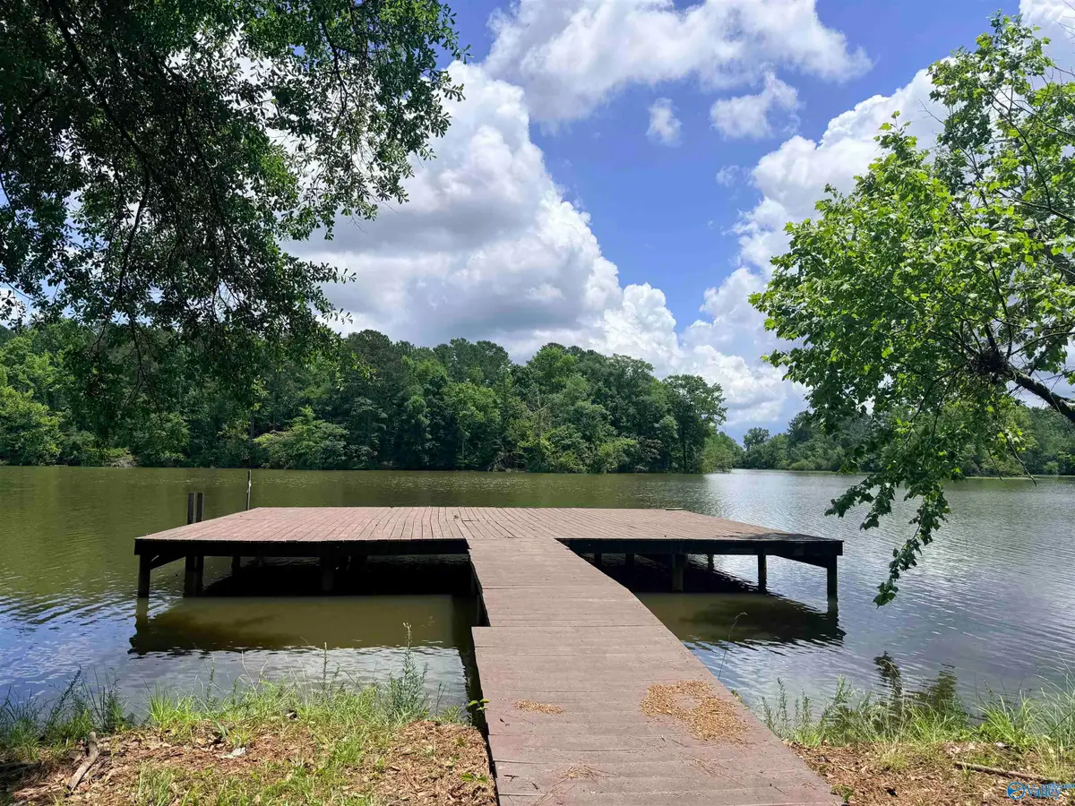 Tract 5 C County Road 941, Cedar Bluff, AL 35959 - #1