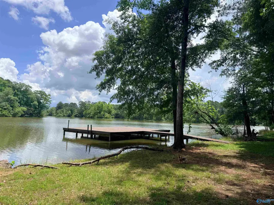 Tract 5 C County Road 941, Cedar Bluff, AL 35959 - #2