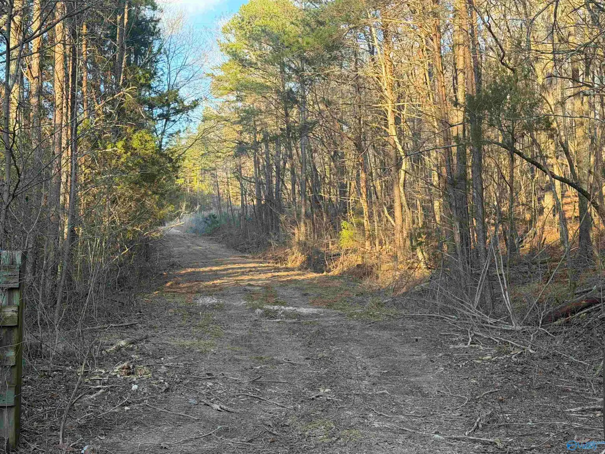 47.4 Tate Road Nw, Fort Payne, AL 35967 - #1