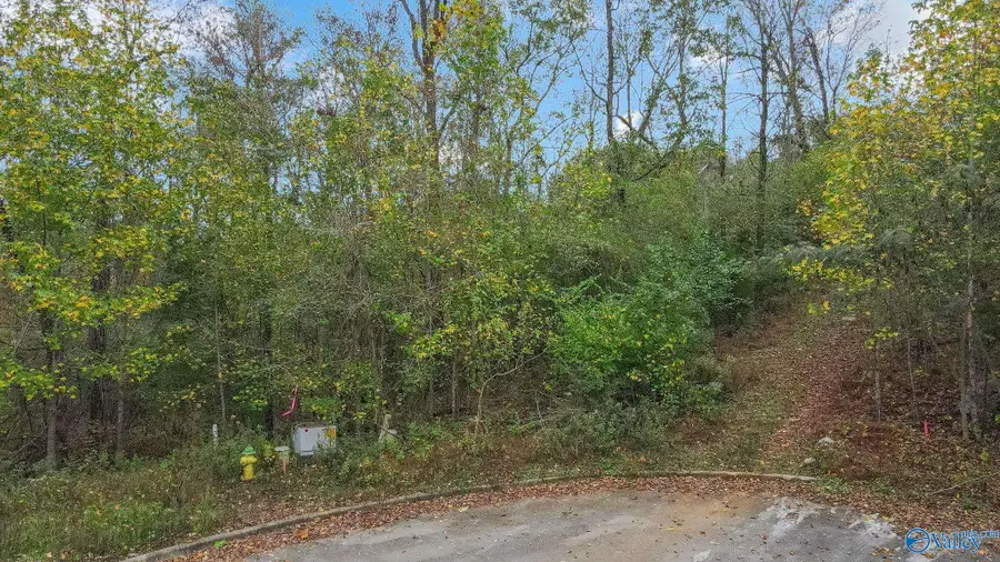 4623 Legacy Preserve Way, Brownsboro, AL 35741 - #3