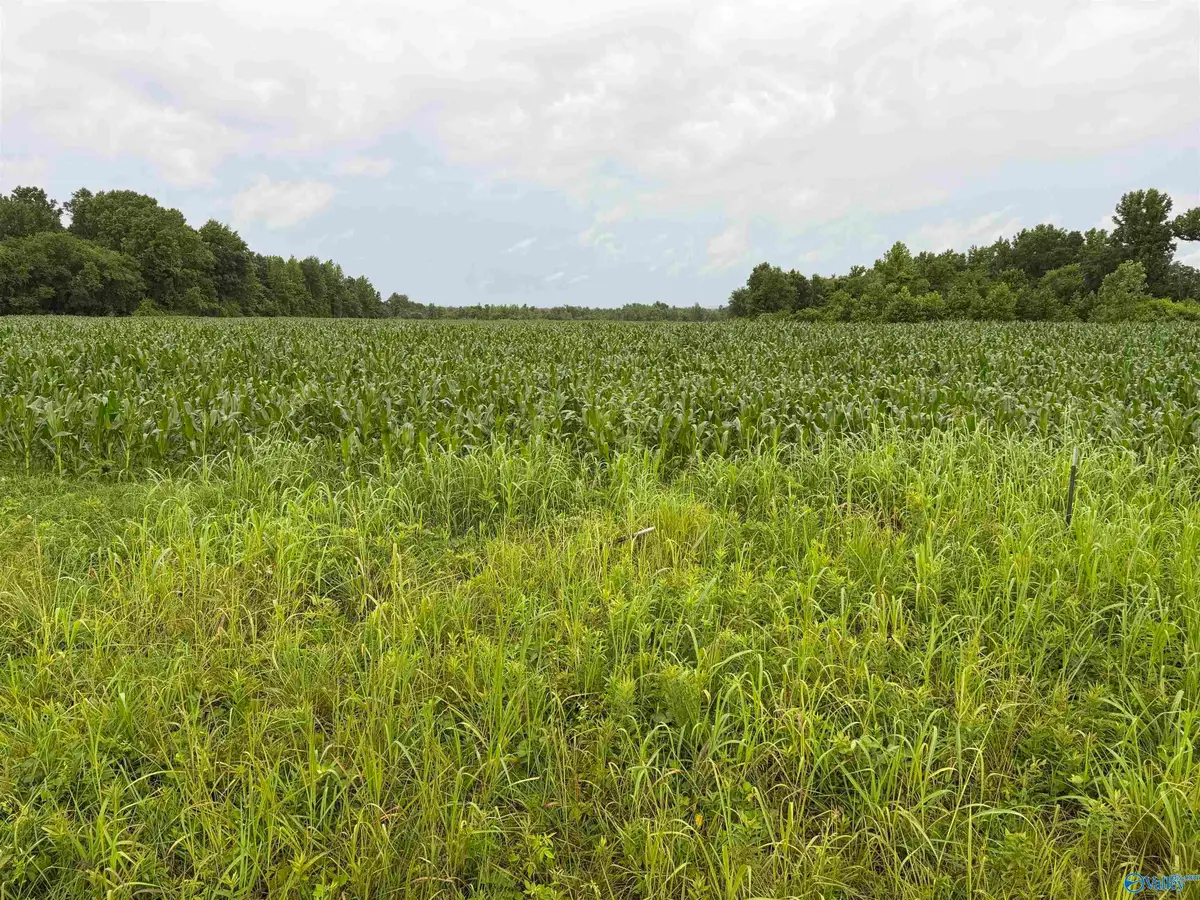786 Acres County Road 133, Town Creek, AL 35672 - #1