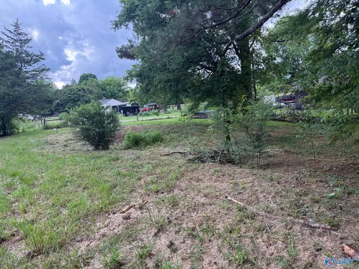 233 Vann Road, Owens Cross Roads, AL 35763 - #1