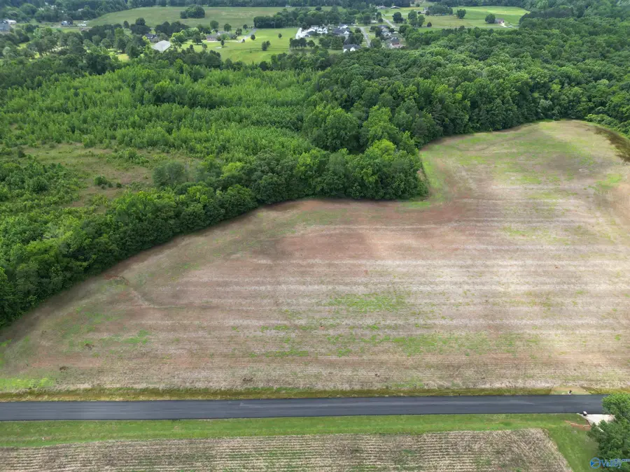 26 acres Ed Ray Road, Athens, AL 35613 - #2