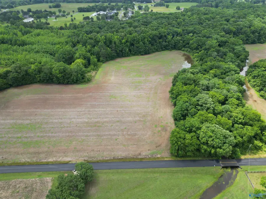 26 acres Ed Ray Road, Athens, AL 35613 - #3