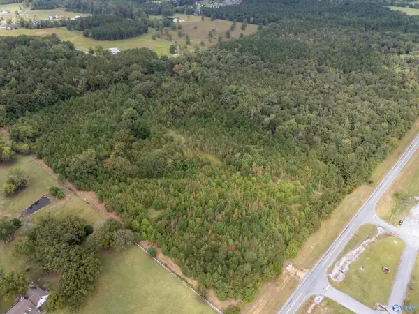 23 acres Appalachian Highway, Hokes Bluff, AL 35903