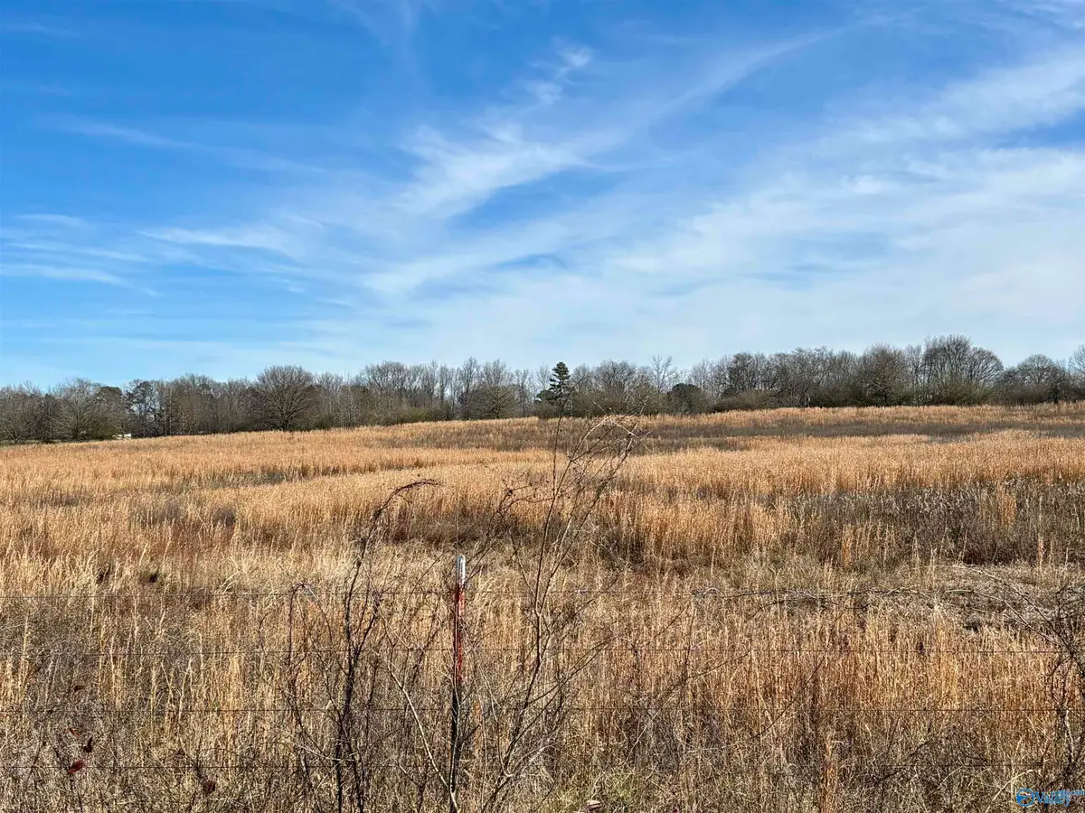 1.5 ac Lot 5 Strange Road, Horton, AL 35980 - #1
