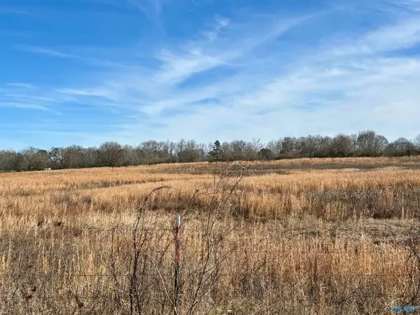 1.5 ac Lot 5 Strange Road, Horton, AL 35980
