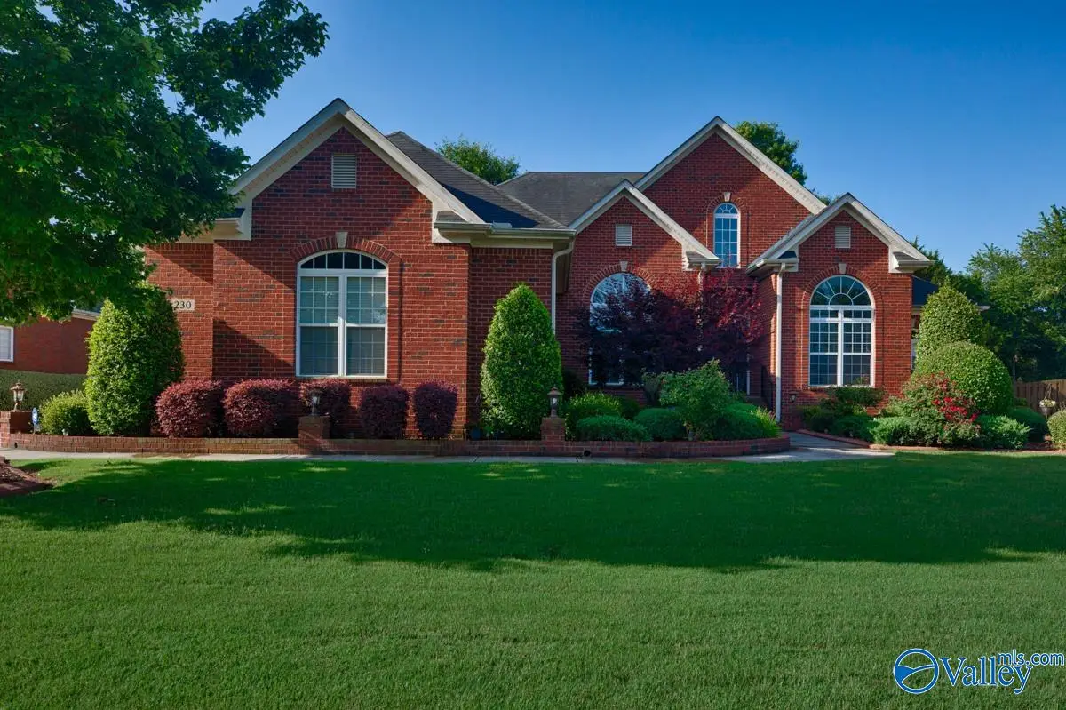 230 Bishop Farm Way, Huntsville, AL 35806 - #1