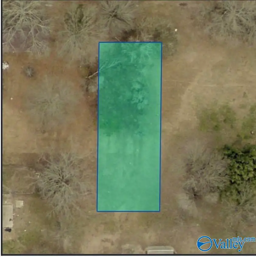.16 ac Maple Street, Hanceville, AL 35077 - #2