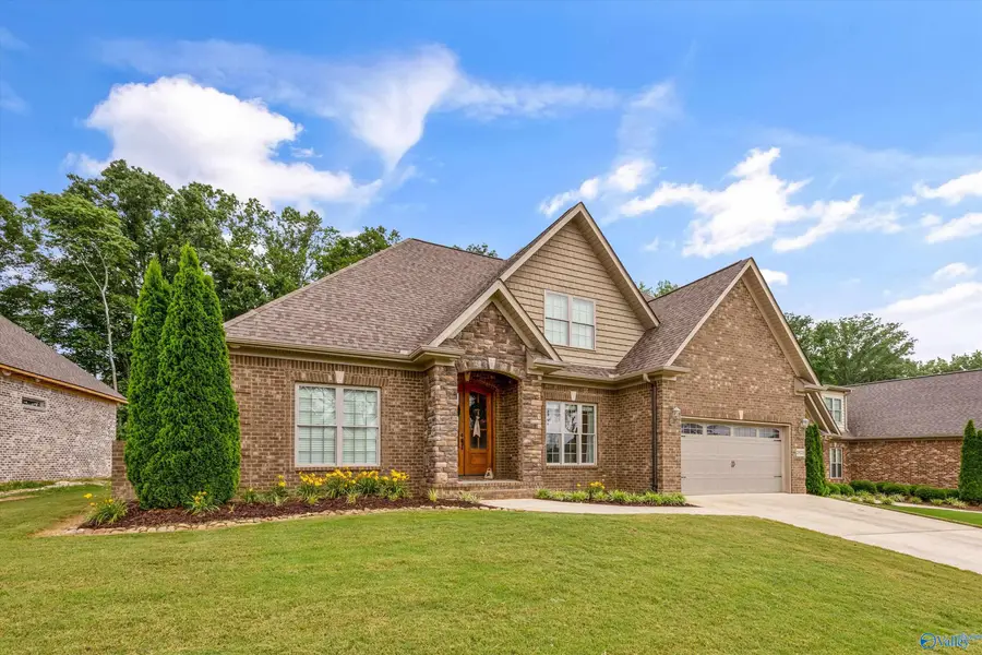 29225 Carnaby Lane, Toney, AL 35773 - #2