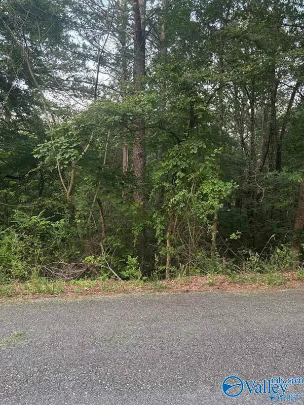 .73 Berkley Hills Drive S, Southside, AL 35907