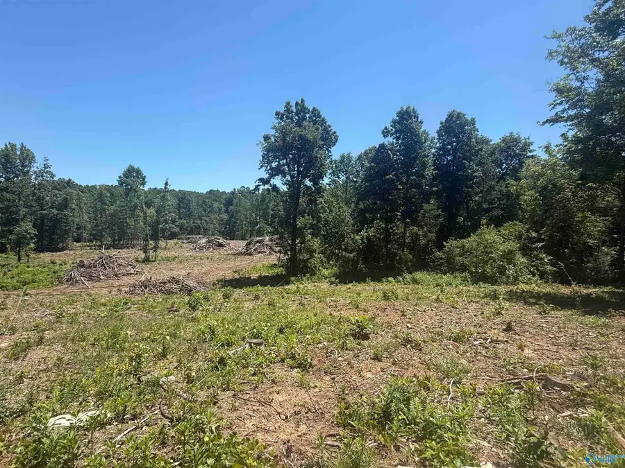 16 AC Bishop Mountain Road, Grant, AL 35747 - #3