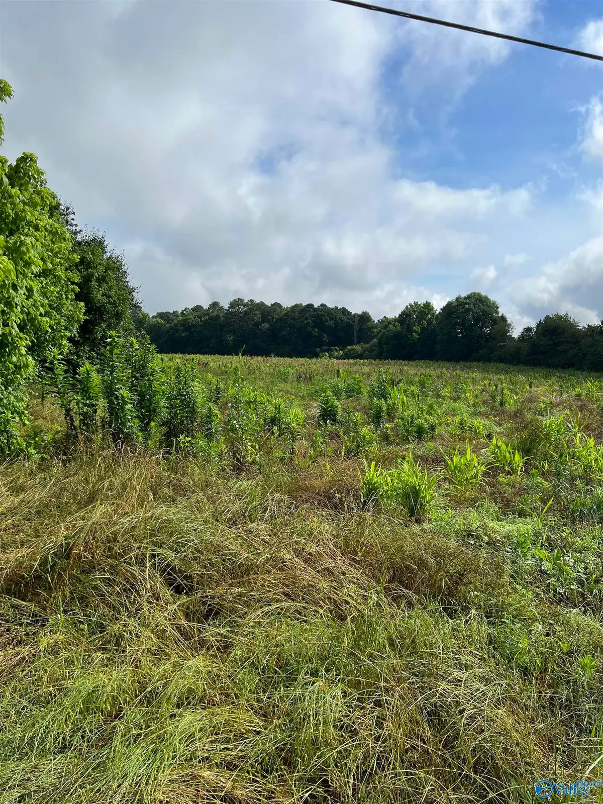 275 Highland Drive, Arab, AL 35016 - #1