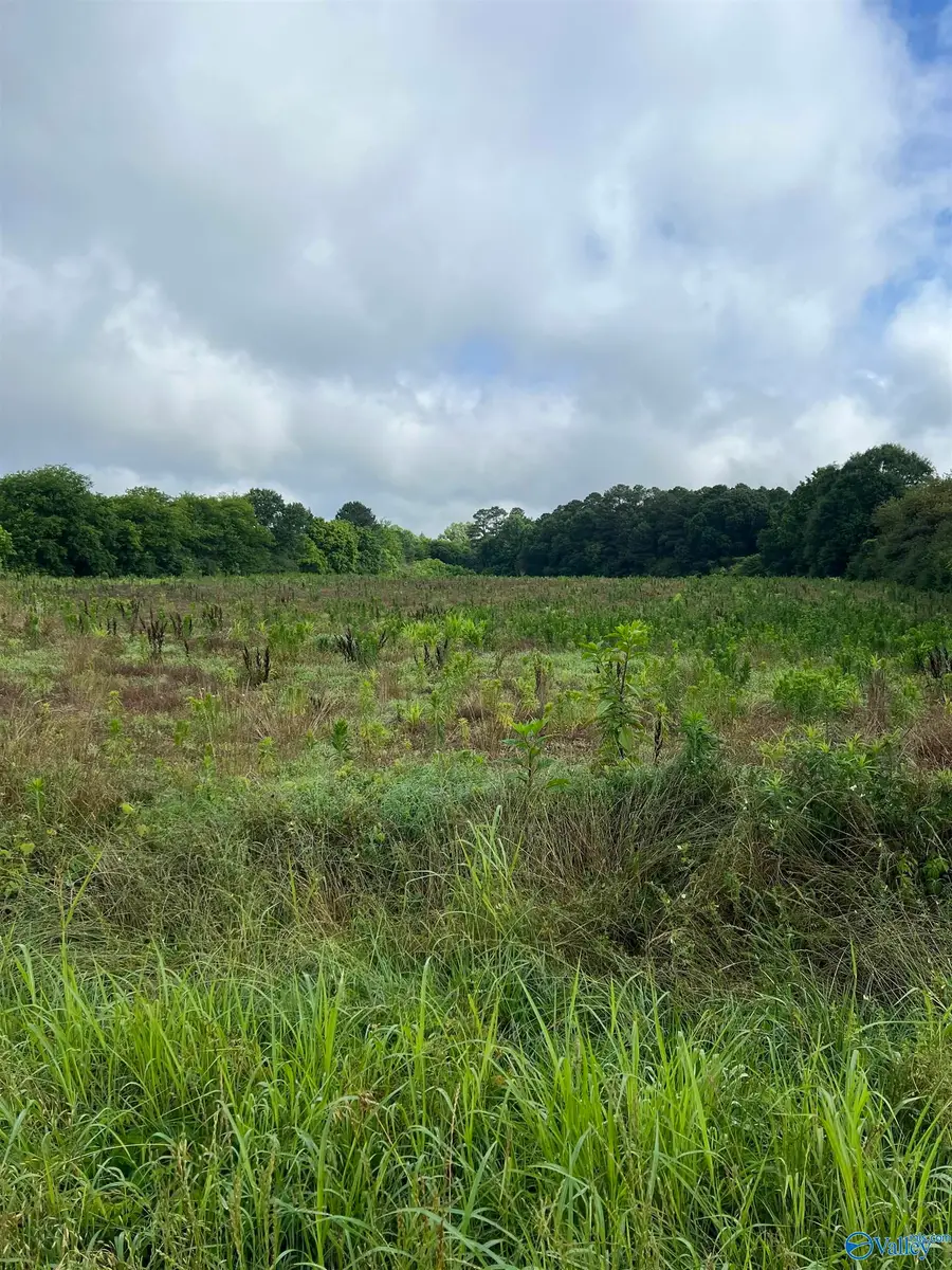 275 Highland Drive, Arab, AL 35016 - #2